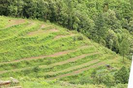 चकबंदी क्या है ?