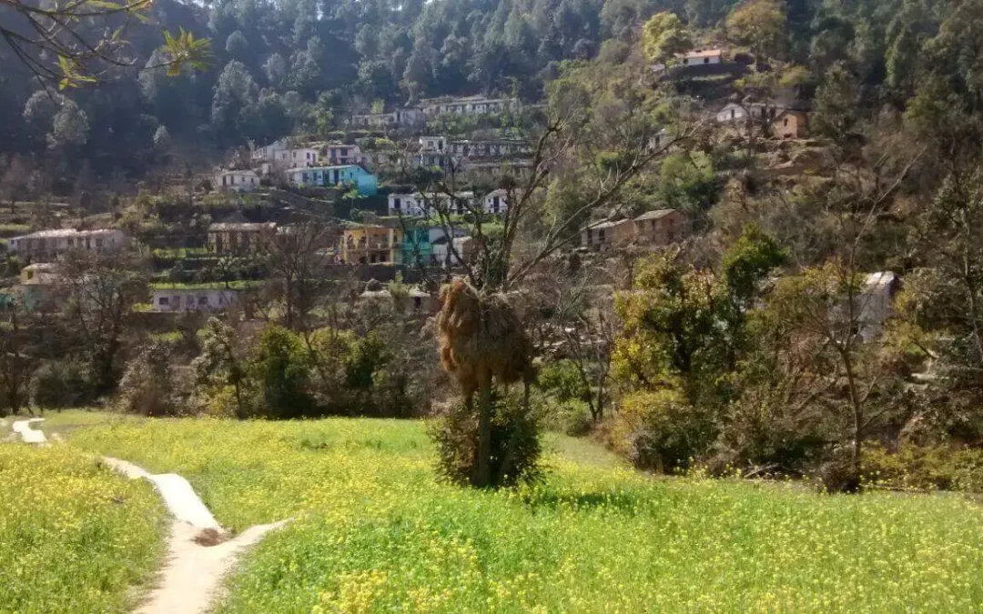 उत्तराखंड पहाड़ में अपनी कृषिभूमि को कैसे बचायें और बढायें ?