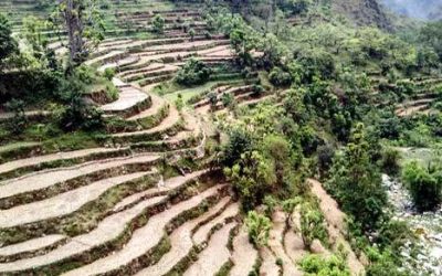 उत्तराखंड पर्वतीय क्षेत्र में बिखरी कृषिभूमि की चकबंदी हेतु अरुणाचल प्रवास समय के पत्र-तथ्य.