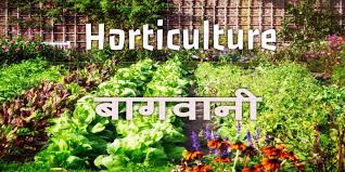 बागवानी योजना एवं धनराशि हेतु मा० मंत्रीजी को ज्ञापन