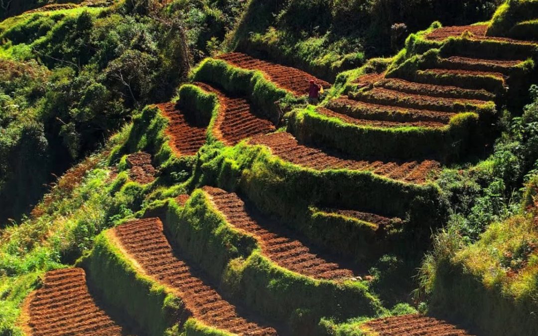 एक अनुरोध, कास्तकारों की 10 हे० की फल-पट्टी आदि हेतु