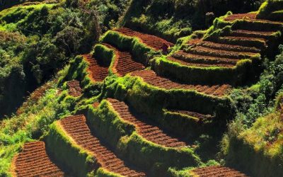 एक अनुरोध, कास्तकारों की 10 हे० की फल-पट्टी आदि हेतु