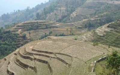 रानीखेत तहसील के गांवों में चकबंदी नहीं करने का बहाना कि भूमिधरों ने स्वैच्छिक चकबंदी योजना नहीं दी