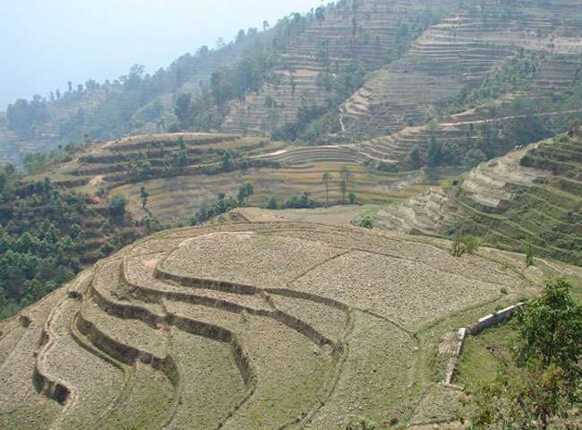 रानीखेत तहसील के गांवों में चकबंदी नहीं करने का बहाना कि भूमिधरों ने स्वैच्छिक चकबंदी योजना नहीं दी